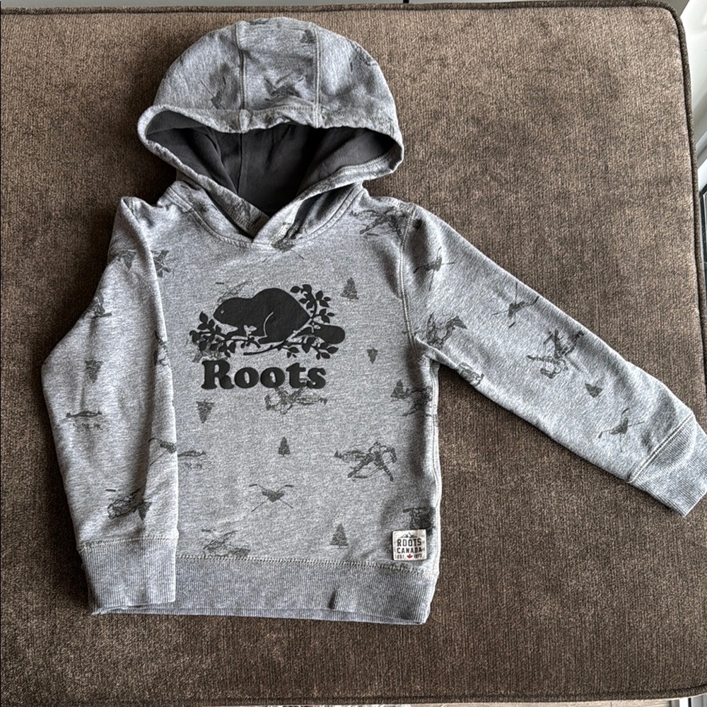 Roots Kids Gray Hoodie